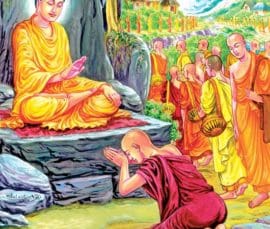 Il Poya